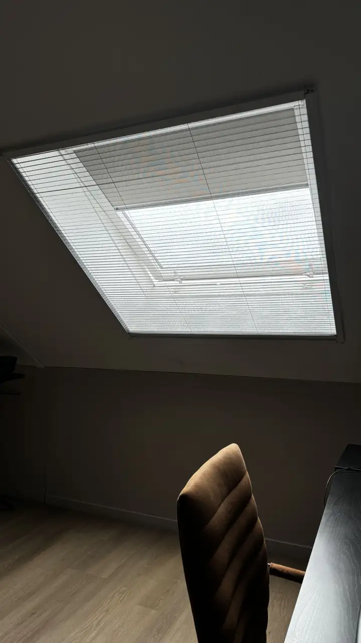 Horren project 10