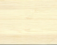 bamboe esdoorn